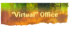 "Virtual" Office